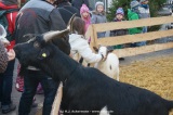 fotografie-39