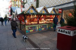 fotografie-81