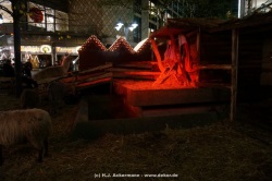 fotografie-29
