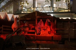 fotografie-37