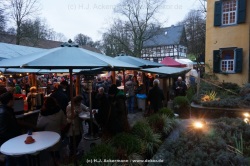 fotografie-17