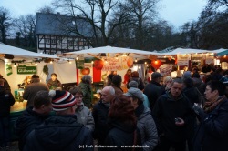 fotografie-28