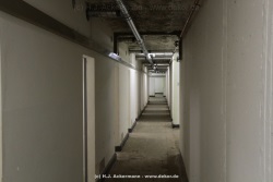 fotografie-58