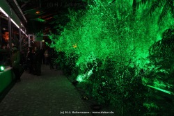 fotografie-16