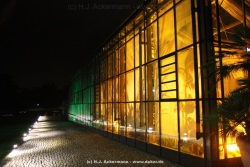 fotografie-44