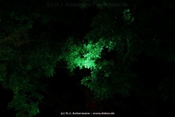 fotografie-45