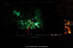 fotografie-60
