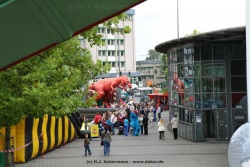 fotografie-3