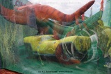 fotografie-14
