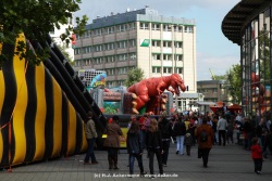 fotografie-53