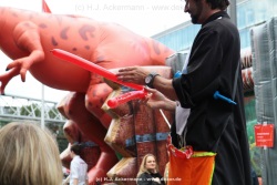 fotografie-13