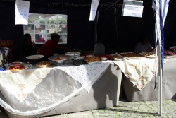 fotografie-1