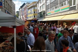 fotografie-11