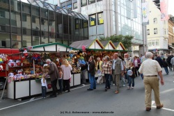 fotografie-17