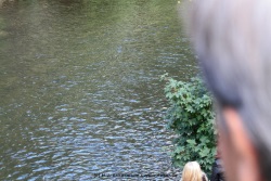 fotografie-2