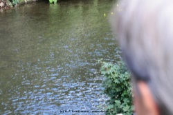 fotografie-4