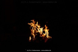 fotografie-5