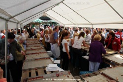 fotografie-54