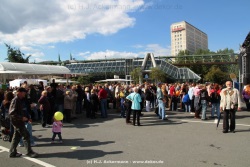 fotografie-8