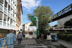 fotografie-6