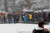 fotografie-1