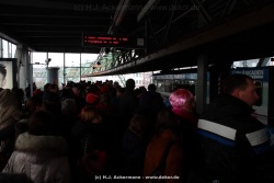 fotografie-161