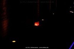 fotografie-1