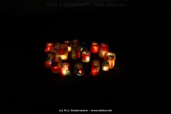 fotografie-8