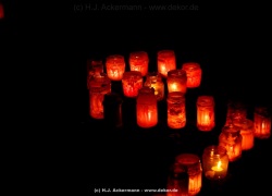 fotografie-15