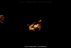 fotografie-7