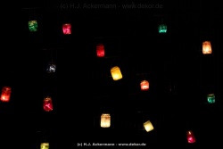 fotografie-14