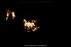 fotografie-15
