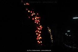fotografie-25