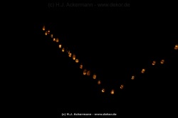 fotografie-5