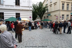 fotografie-5