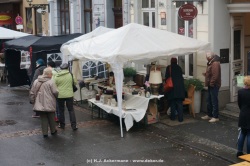 fotografie-11