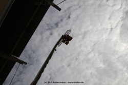 fotografie-161