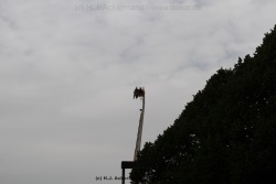 fotografie-106