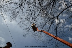 fotografie-40