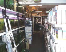 fotografie-1