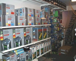 fotografie-6