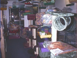 fotografie-6