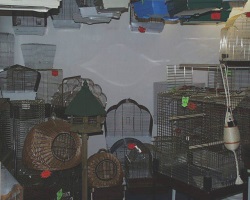 fotografie-23