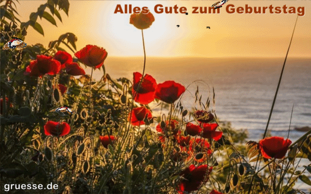 animationen-glueckwuensche-geburtstag_001