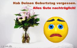 animationen-glueckwuensche-geburtstag-vergessen_002