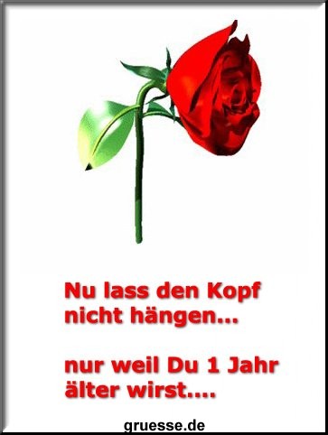 grusskarte-Grosse-Karten-geburtstag-k_016
