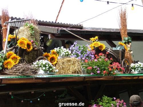 grusskarte-Traumschiff-Blumengruesse-k_056