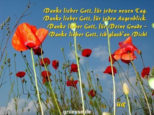 grusskarte-Traumschiff-Danke-k_012