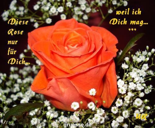 grusskarte-Traumschiff-Freundschaft-k_012