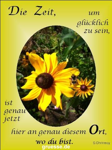grusskarte-Traumschiff-Netter_Spruch-k_003